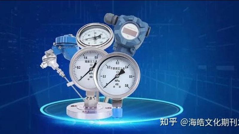称重仪表：揭秘十大品牌定制流程